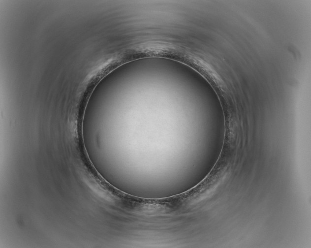 X0000110870399200906181206