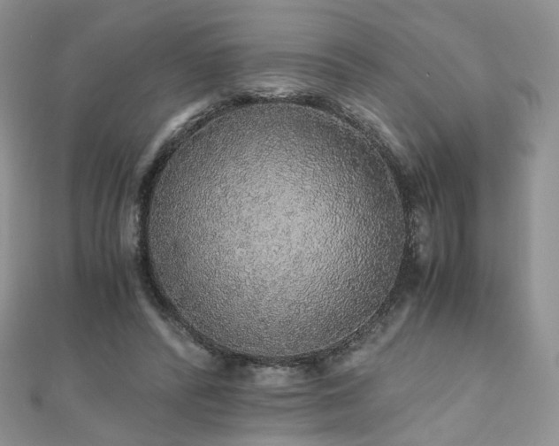 X0000110870400200906181206