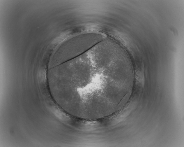 X0000110870401200906181206