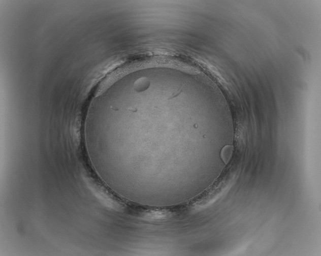 X0000110870402200906181206