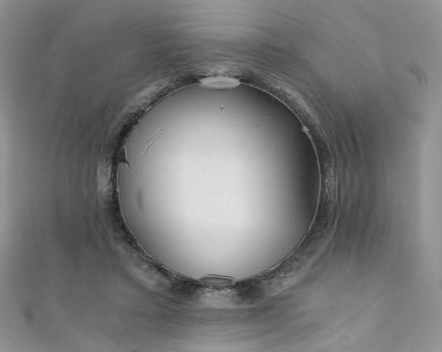 X0000110870403200906181206