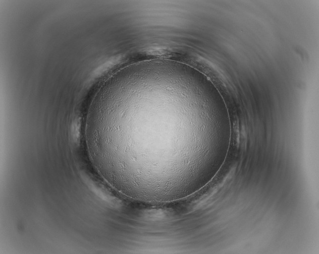 X0000110870404200906181206