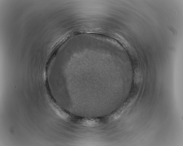 X0000110870405200906181206