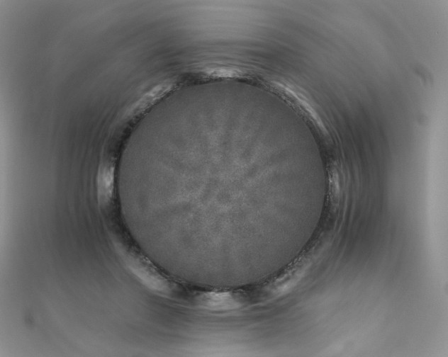 X0000110870406200906181206