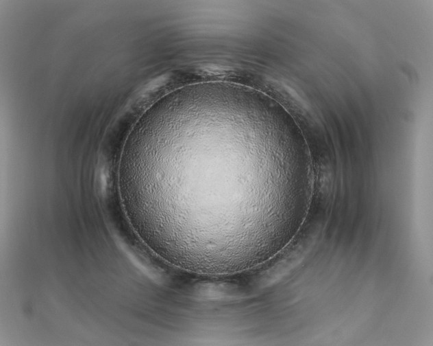 X0000110870408200906181206