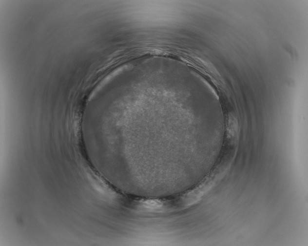 X0000110870409200906181206