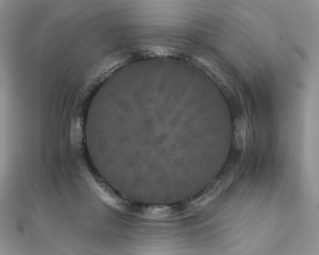 X0000110870410200906181206