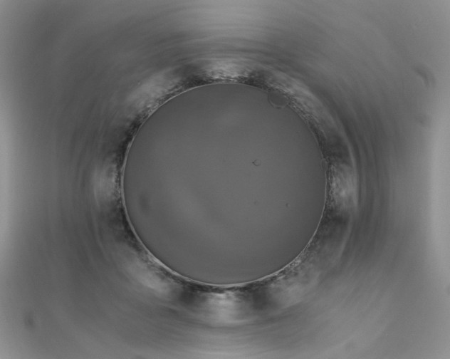 X0000110870411200906181206