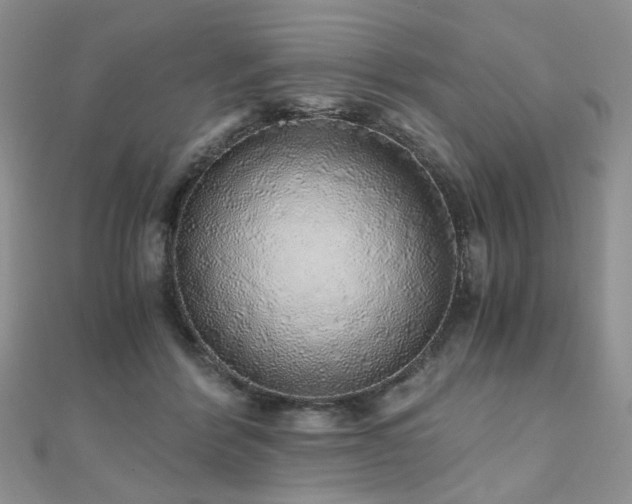 X0000110870412200906181206