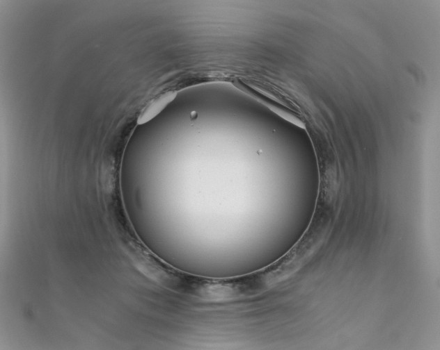 X0000110870413200906181206