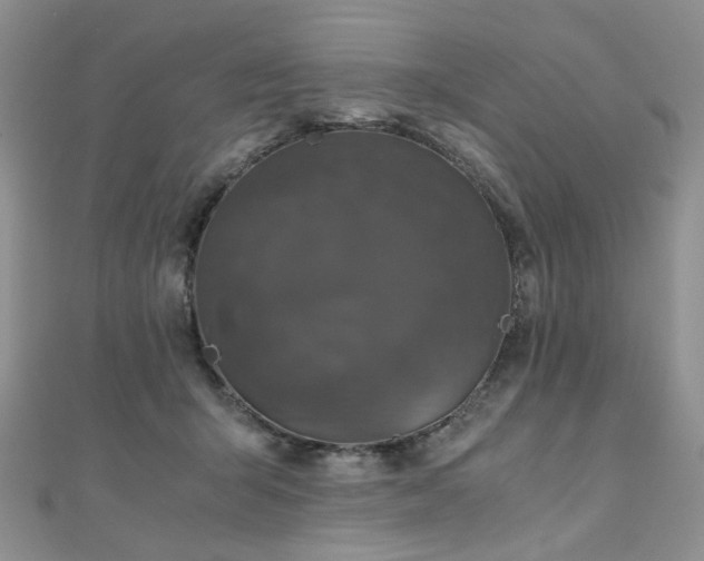 X0000110870415200906181206