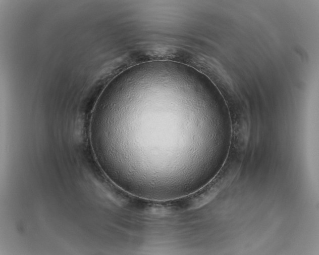 X0000110870416200906181206