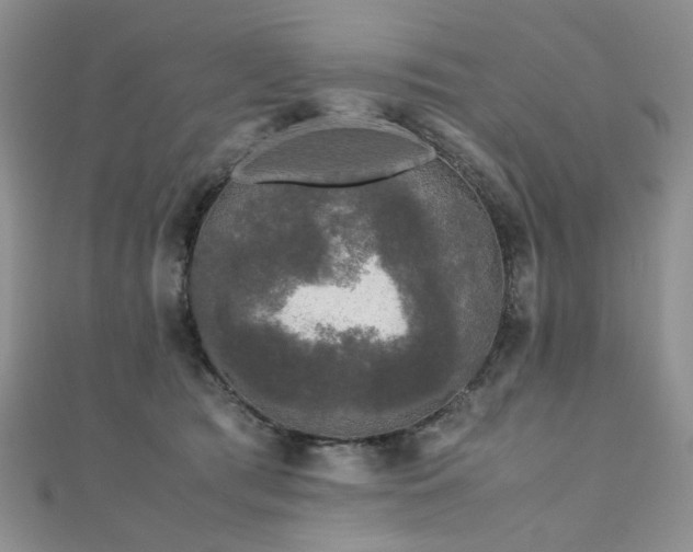 X0000110870417200906181206