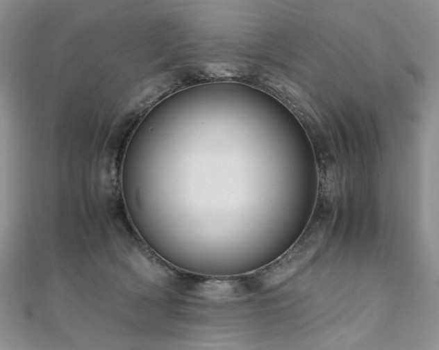 X0000110870418200906181206