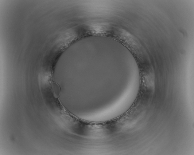 X0000110870419200906181206