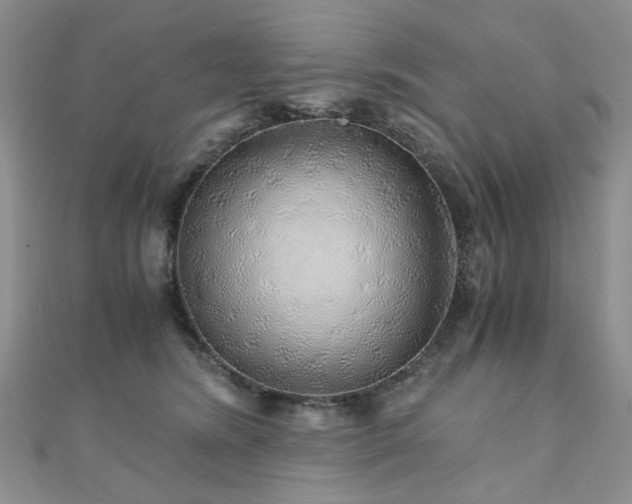 X0000110870420200906181206