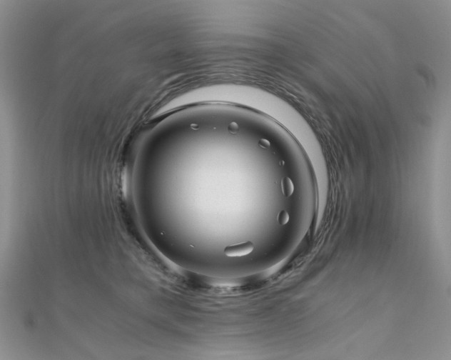 X0000110870421200906181206