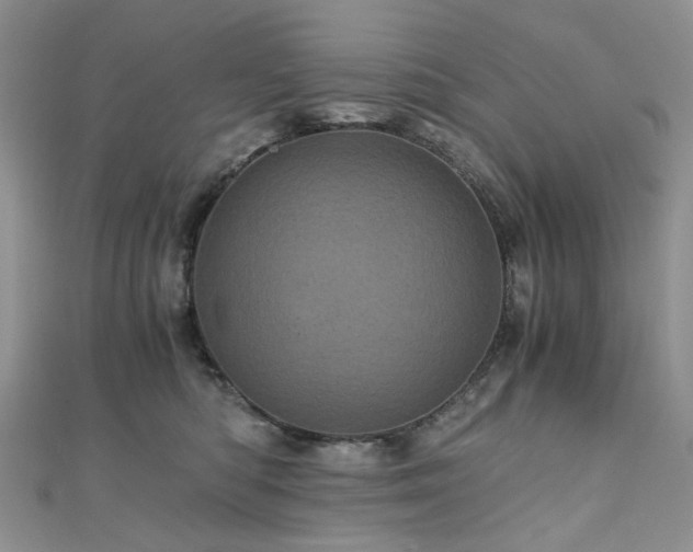 X0000110870422200906181206