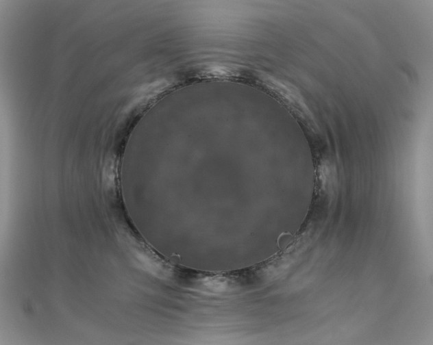 X0000110870423200906181206