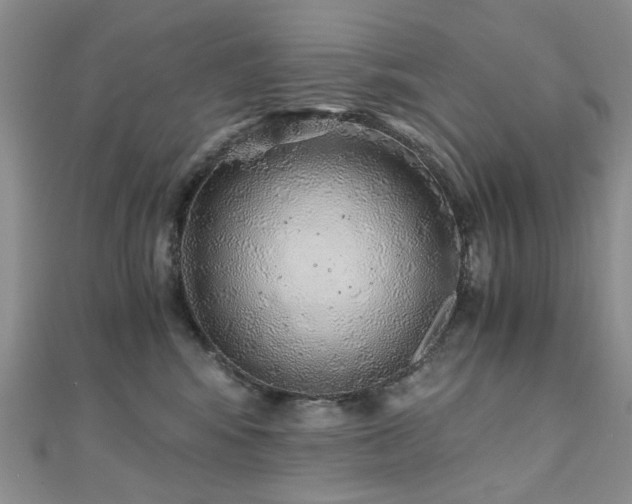 X0000110870424200906181206