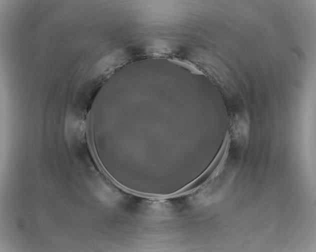 X0000110870427200906181206