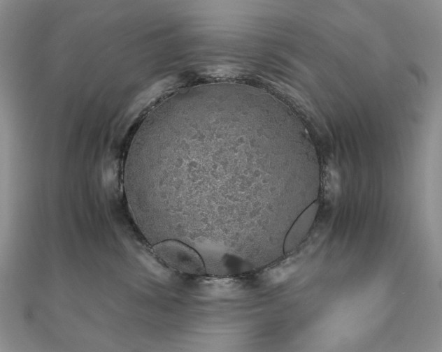 X0000110870428200906181206