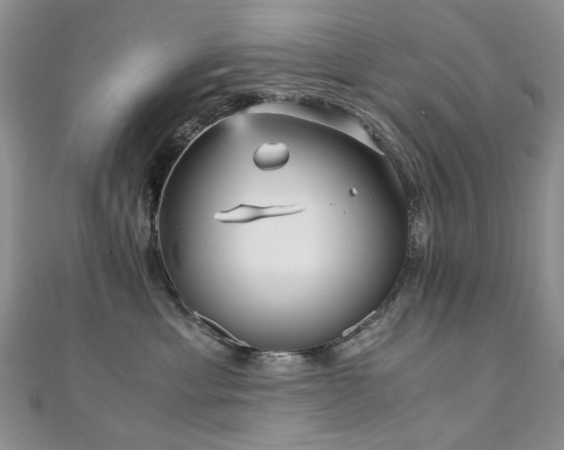 X0000110870429200906181206