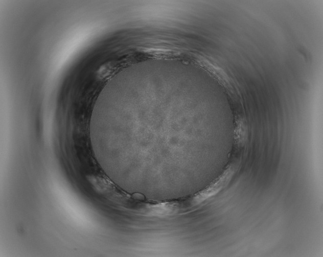 X0000110870430200906181206