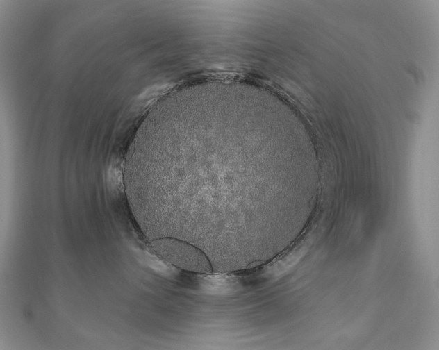 X0000110870432200906181206