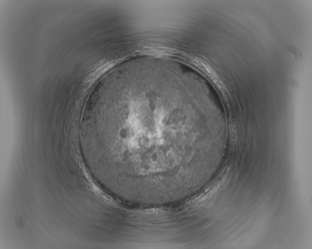 X0000110870433200906181205