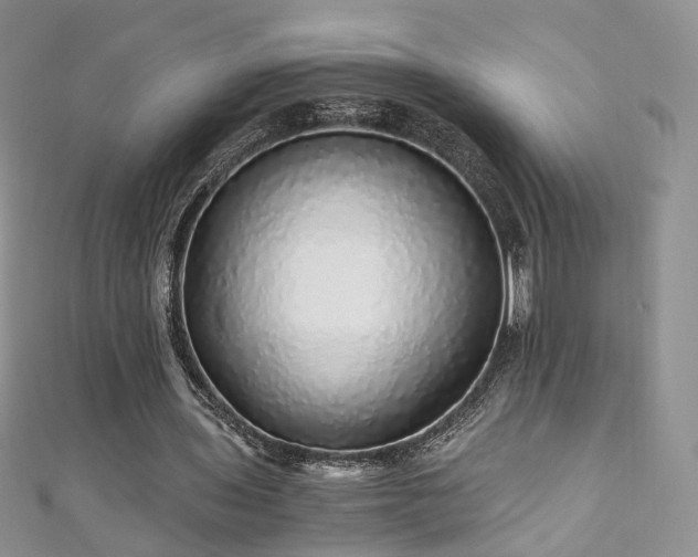 X0000110870435200906181205