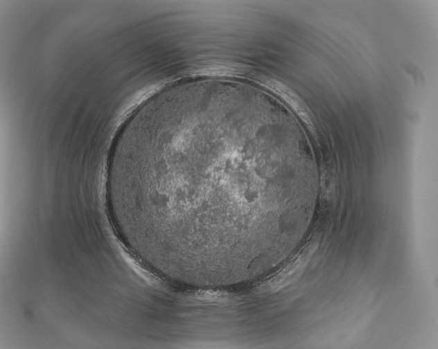 X0000110870437200906181205