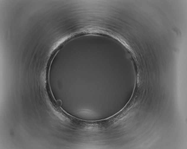 X0000110870438200906181205