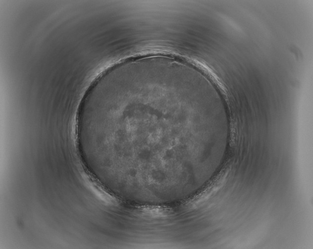 X0000110870439200906181205