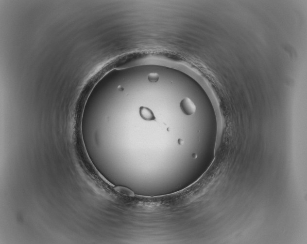 X0000110870440200906181205