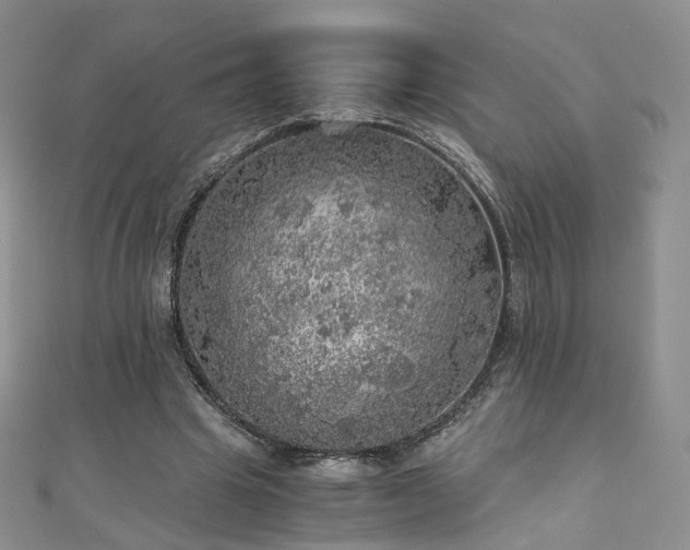 X0000110870441200906181205