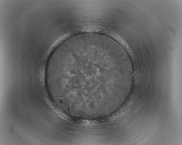 X0000110870442200906181205