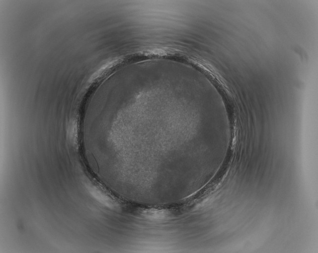 X0000110870444200906181205