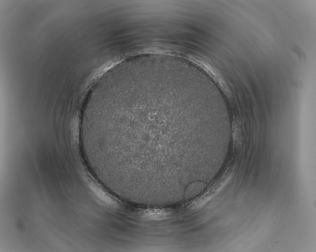 X0000110870445200906181205