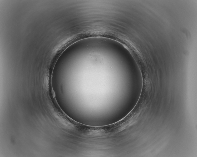 X0000110870446200906181205