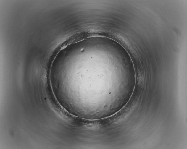 X0000110870447200906181205