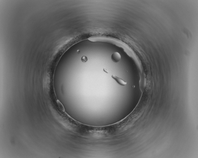 X0000110870448200906181205