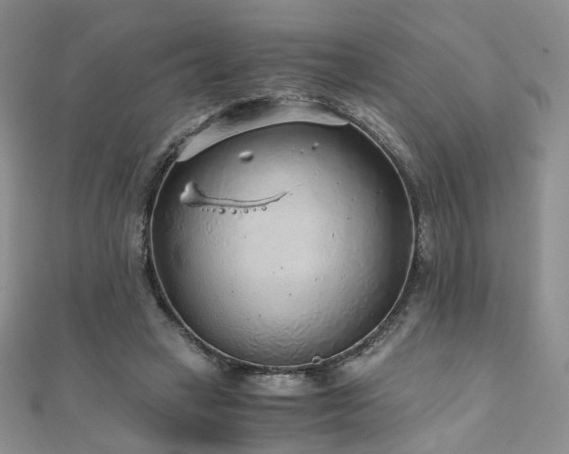 X0000110870449200906181205