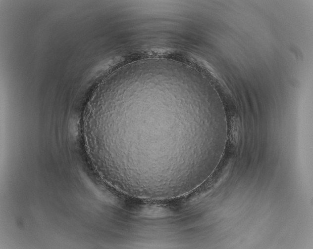 X0000110870451200906181205