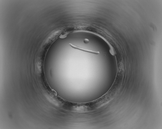 X0000110870452200906181205