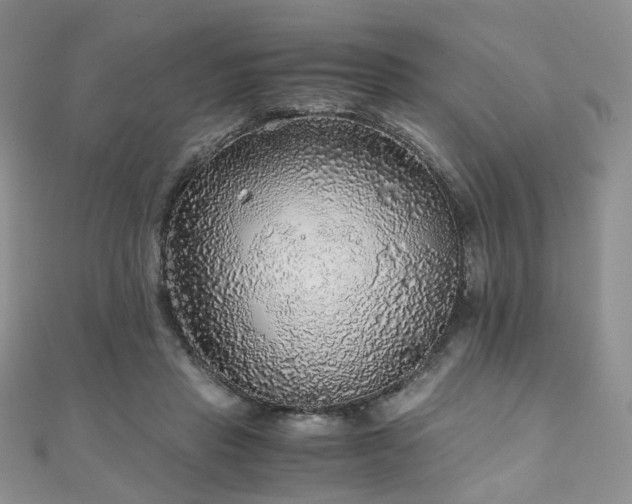 X0000110870453200906181205