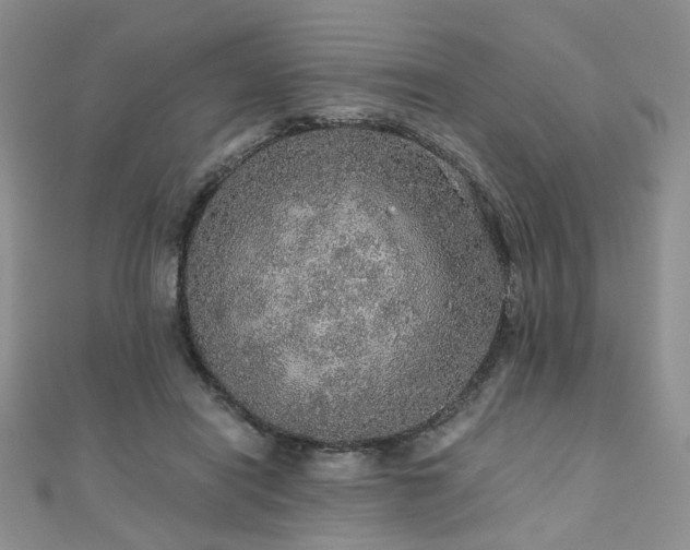 X0000110870454200906181205