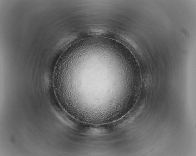 X0000110870455200906181206