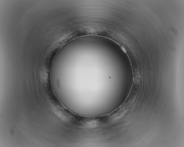 X0000110870456200906181206