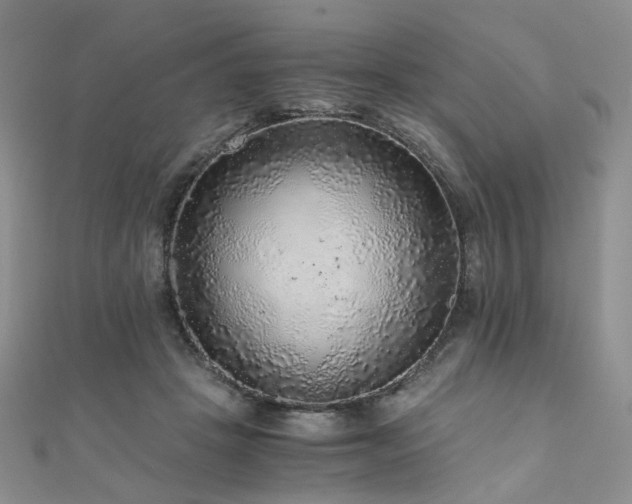 X0000110870457200906181206